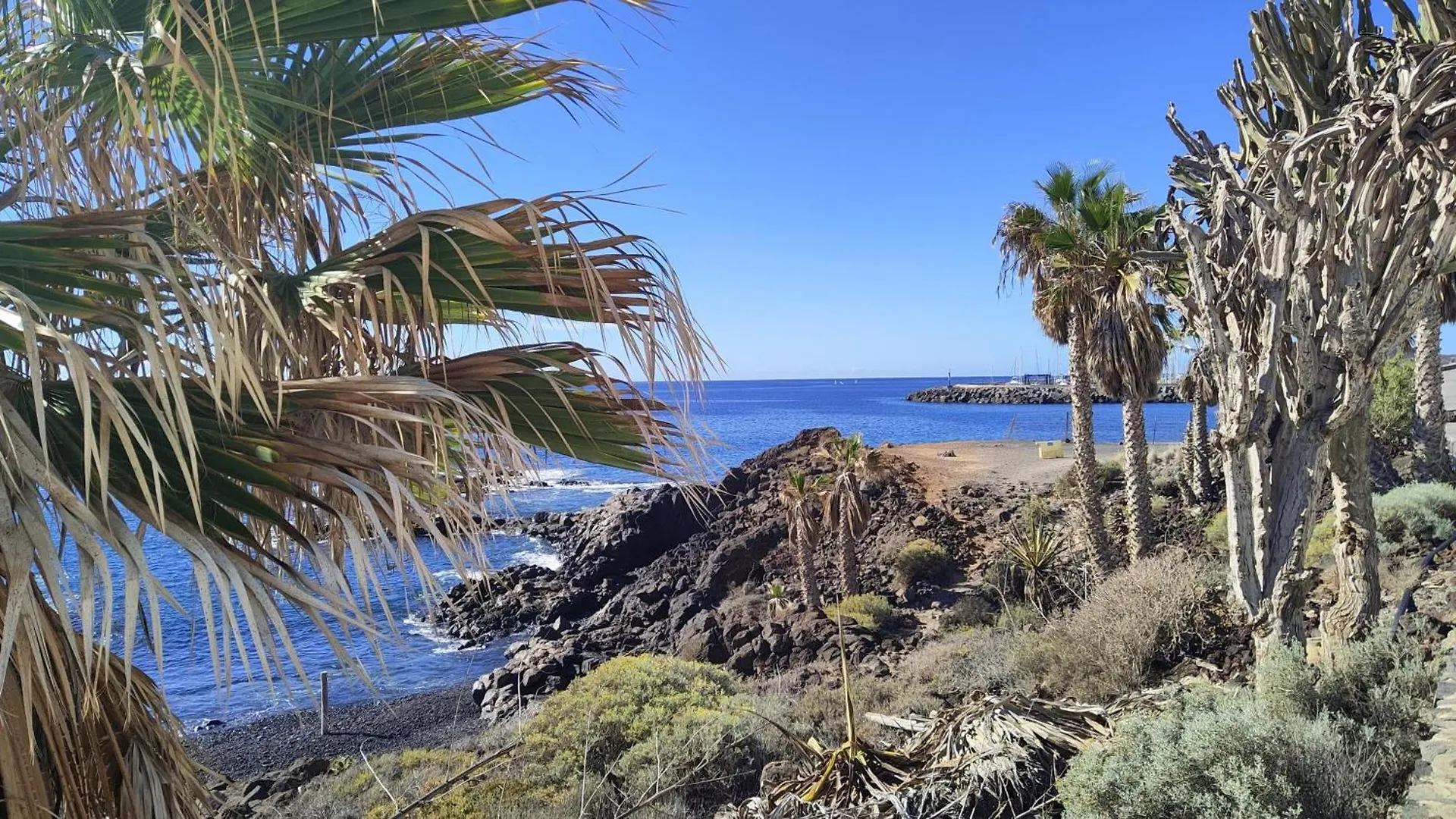Apartamento Surf Harbour Los Abrigos España